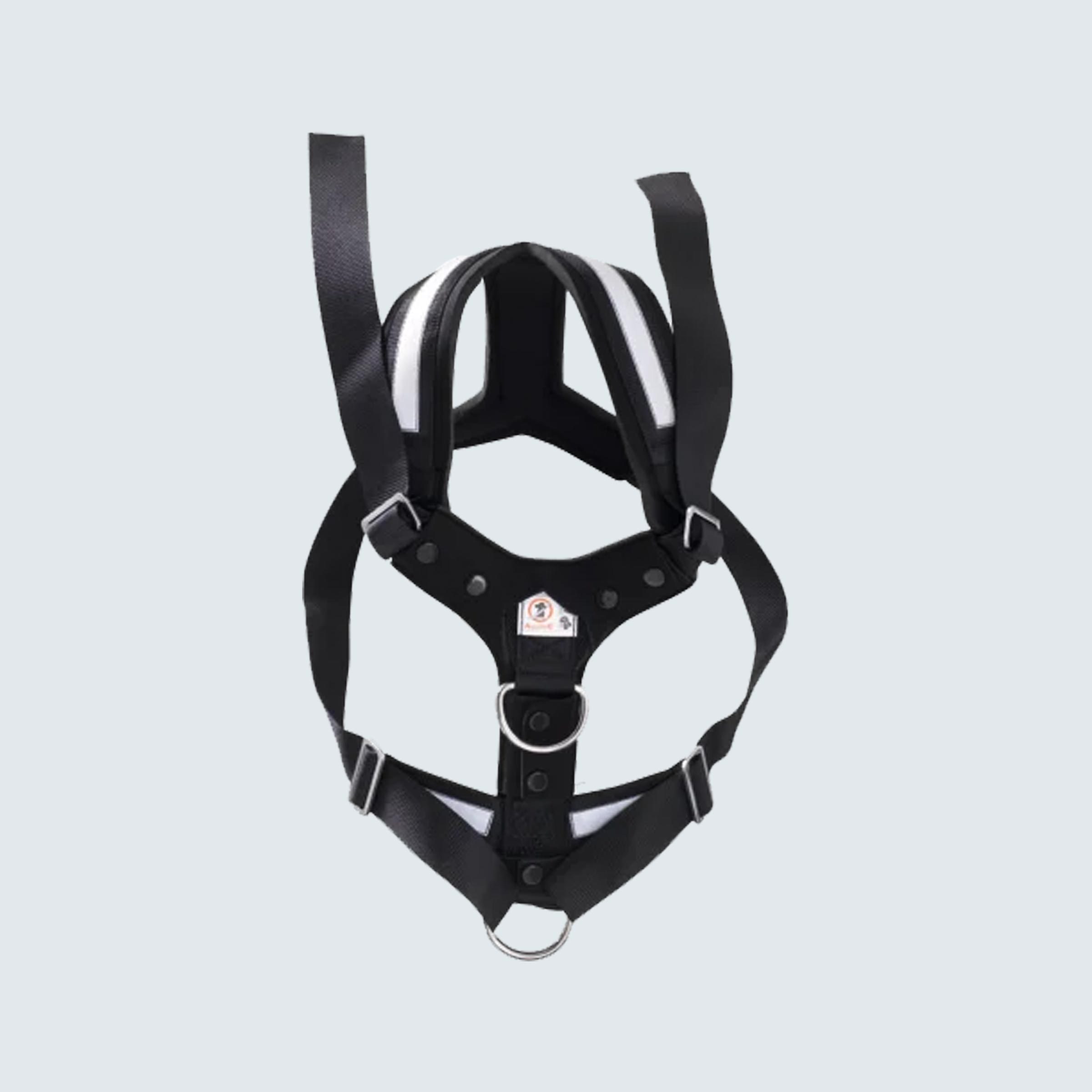 4X4 North America AllSafe Dog Harness