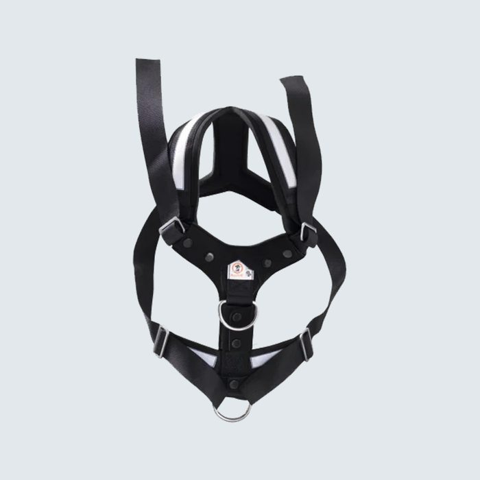 4X4 North America AllSafe Dog Harness
