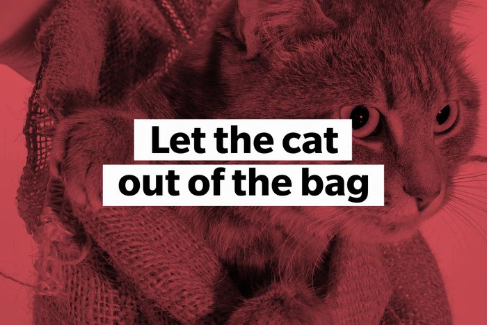 Let the cat out of the bag