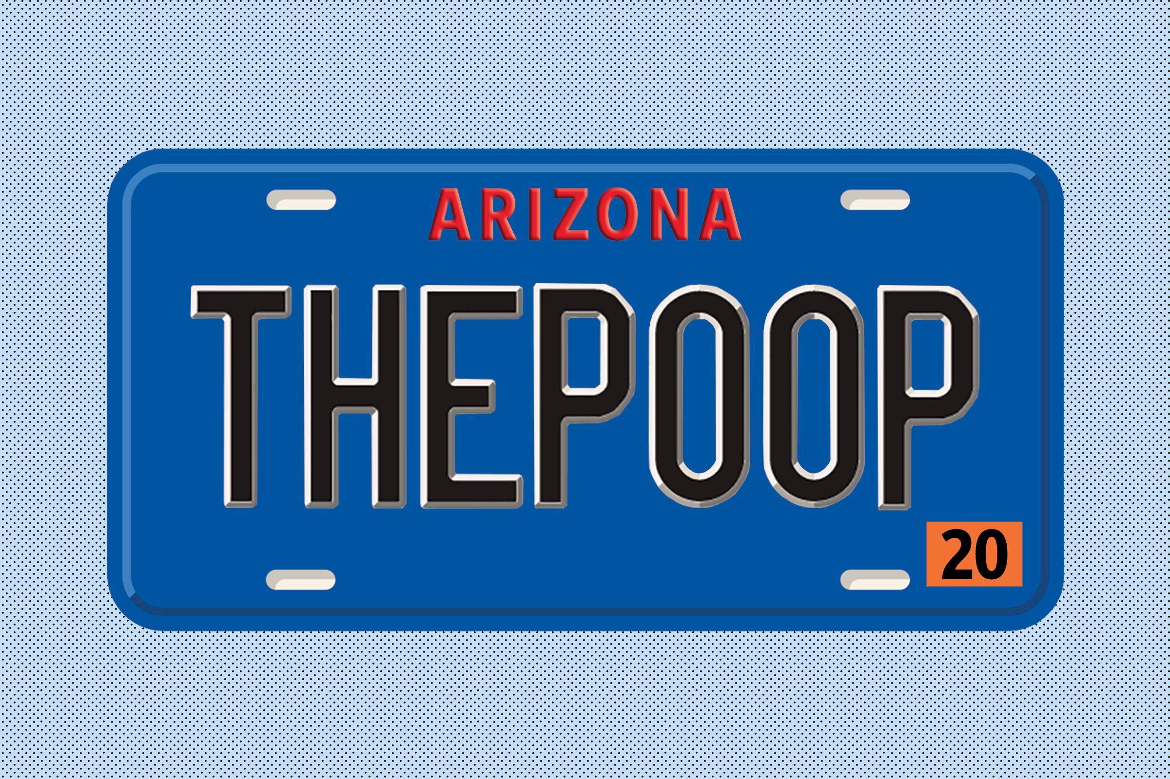 THEPOOP