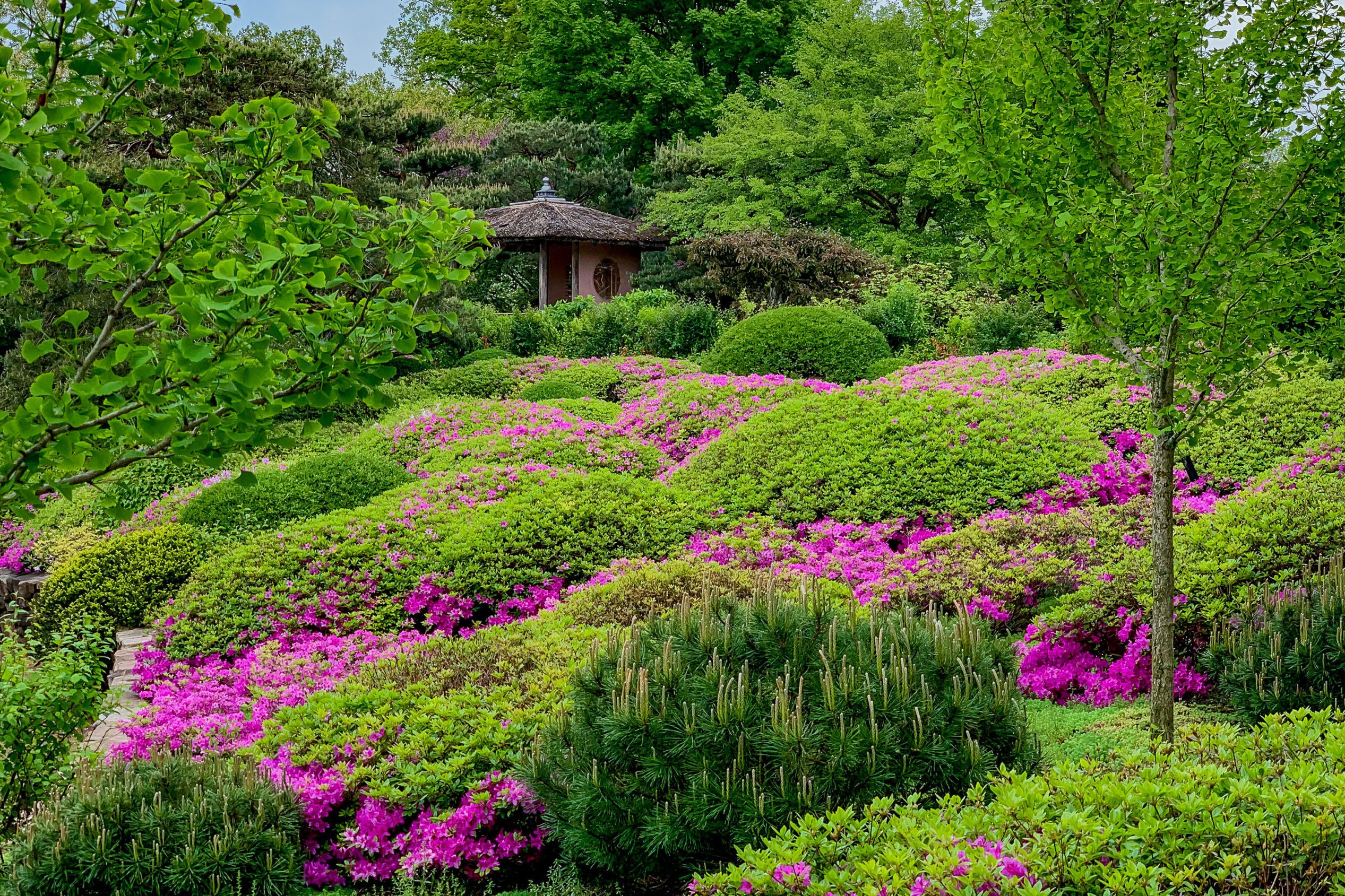 Chicago Botanical Garden