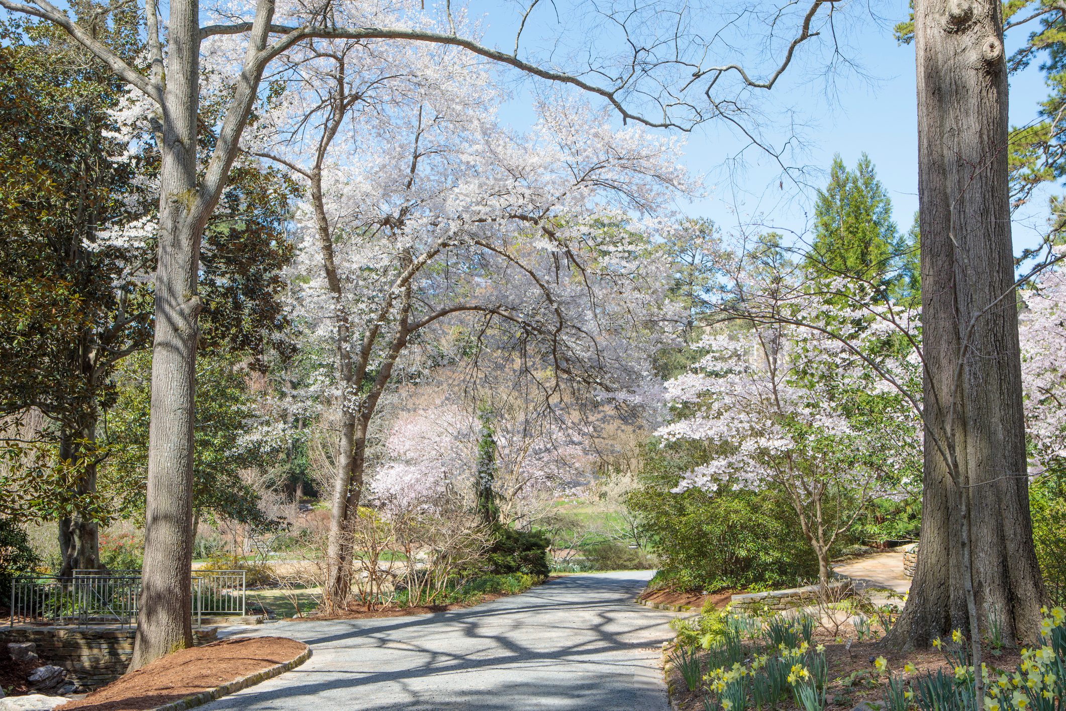 spring duke gardens