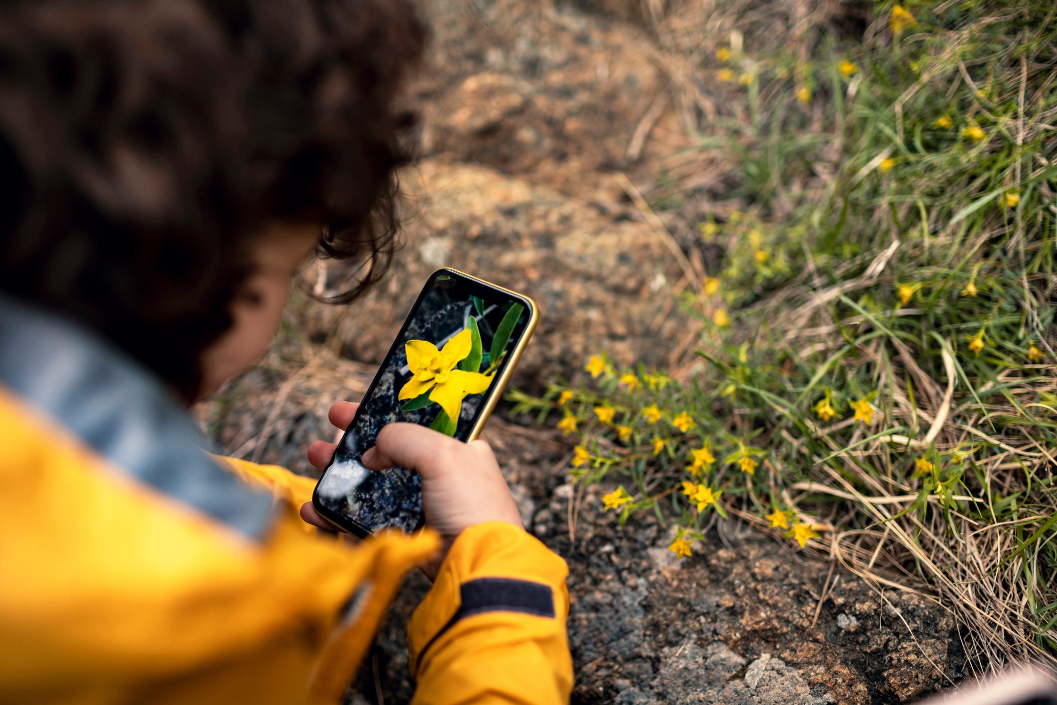 Little boy taking pictures of flowers