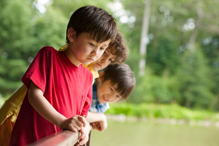 Three Boys and a Fish Pond