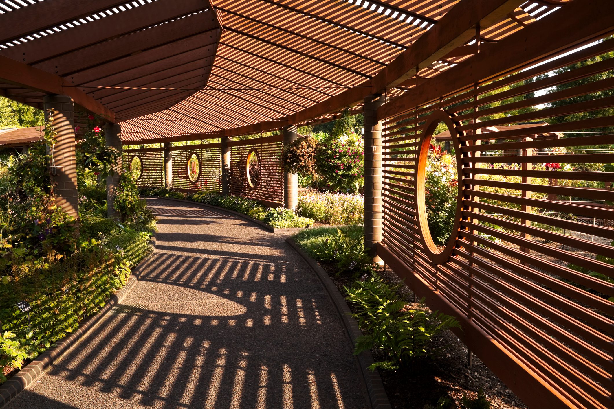 Shaded walkway at Missouri Botanical Gardens.