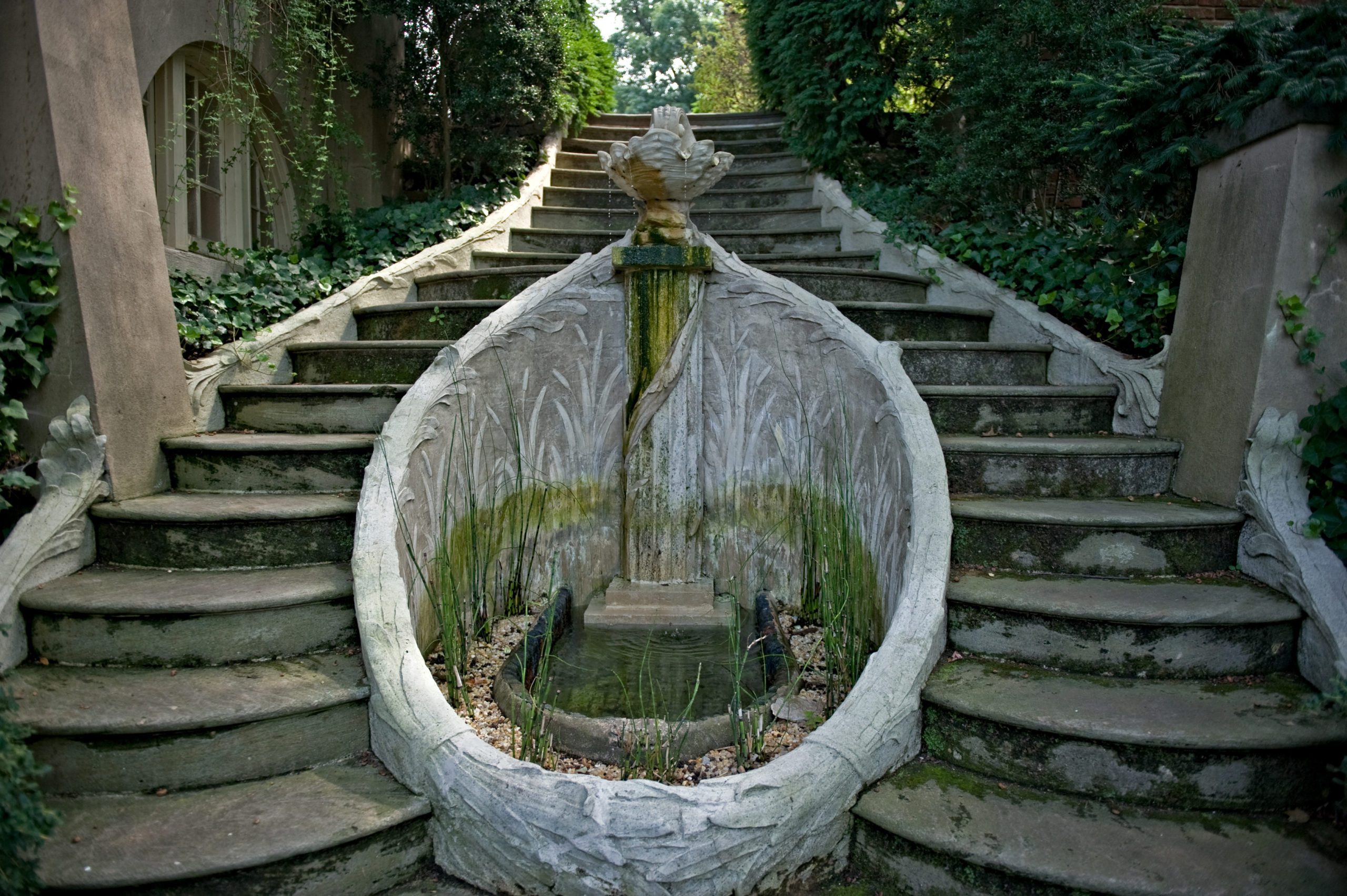 Dumbarton Oaks in the summer