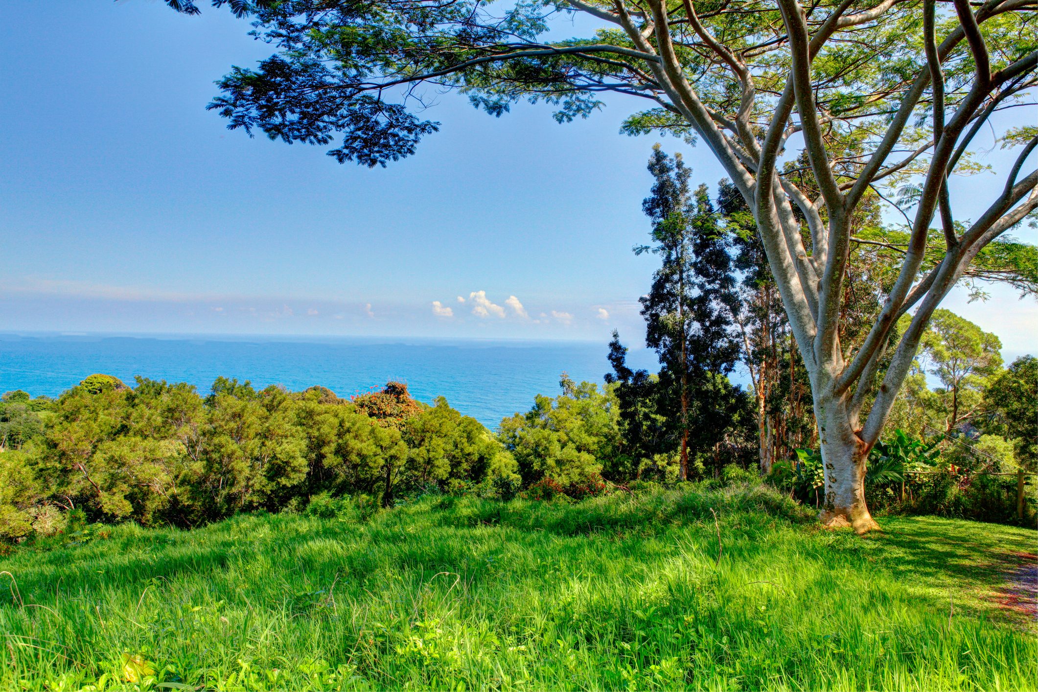 tropical garden . Garden Of Eden, Maui Hawaii