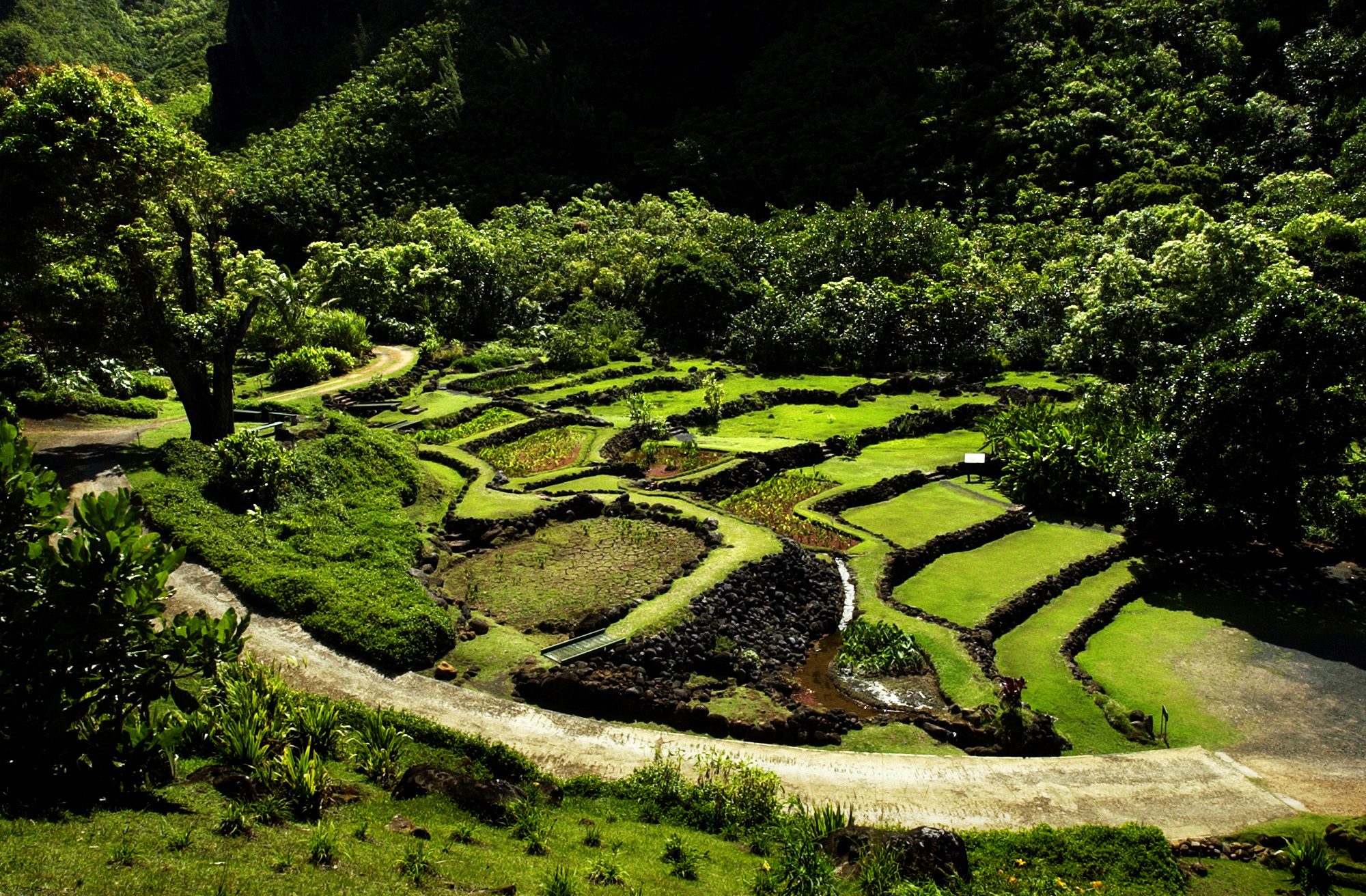 070622.TR.Kauai.GLF–Surrounded by towering peaks, Limahuli Garden sits in a lush valley of lava rock