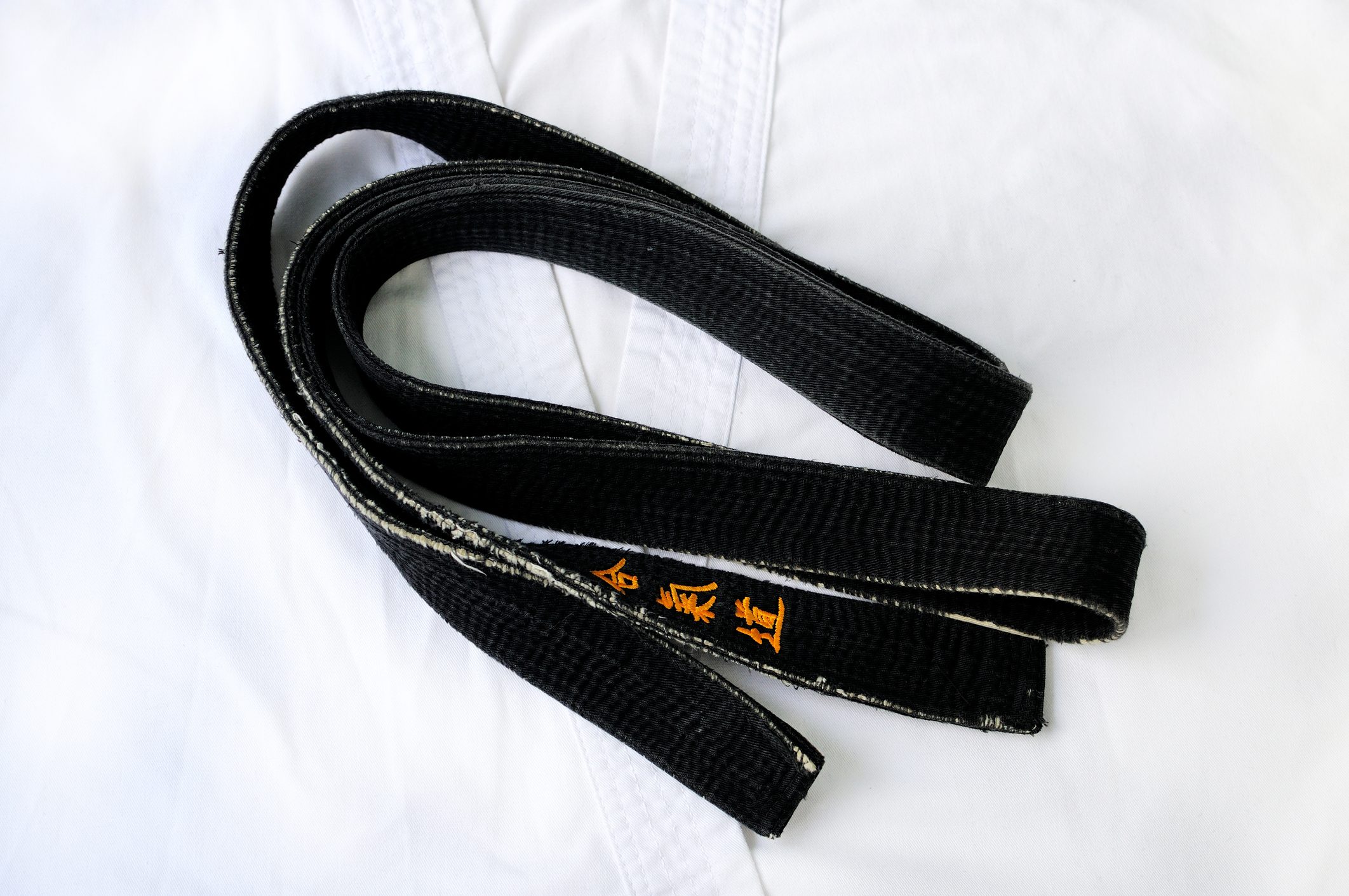 Black belt on a white background.