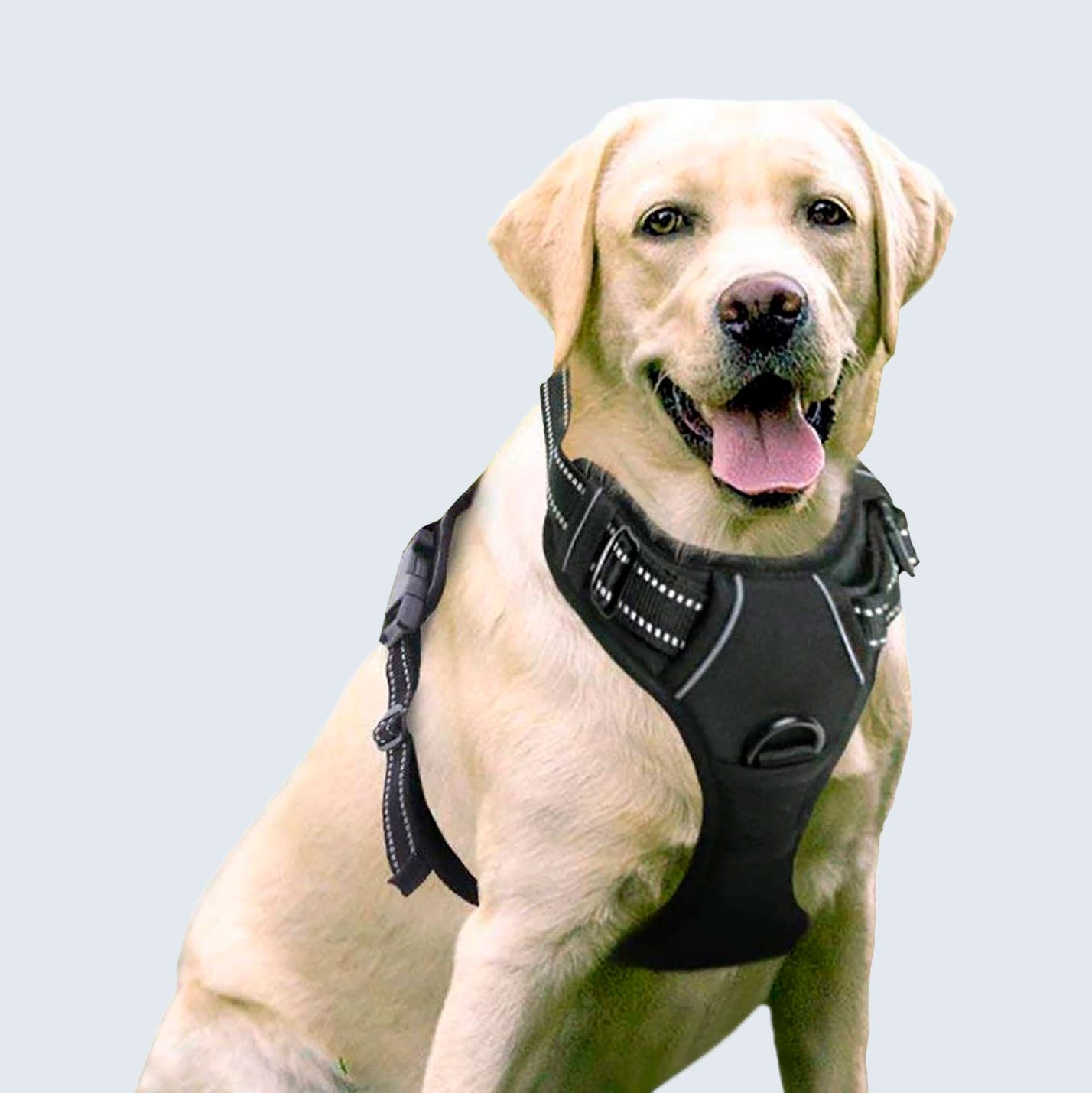 Rabbitgoo Dog Harness 