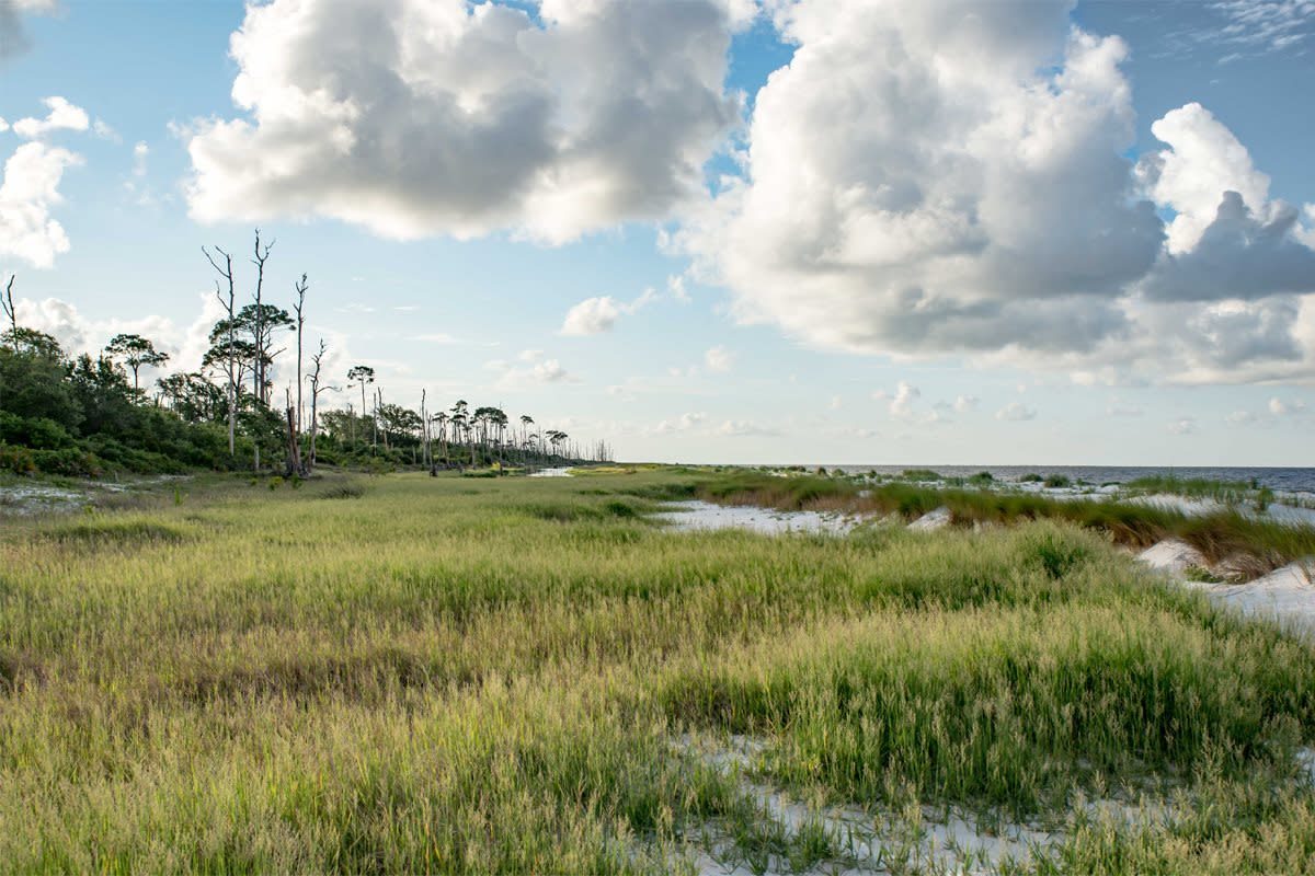 Deer Island Coastal Preserve, Biloxi, Mississippi