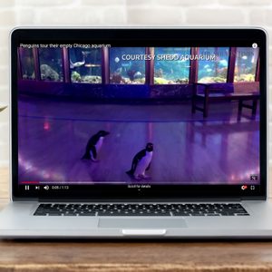virtual tour on a laptop screen