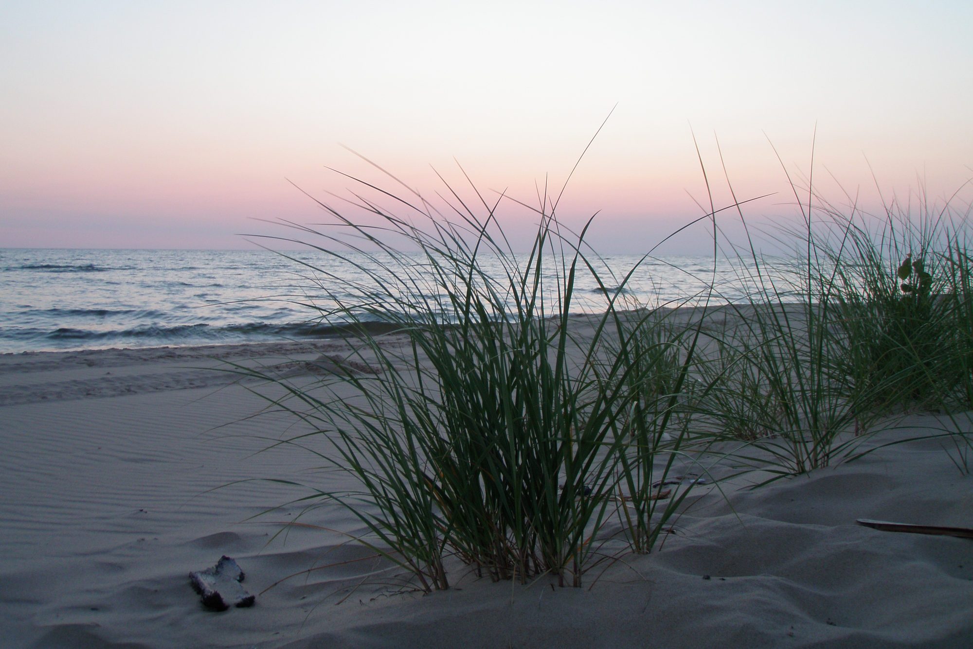 PJ Hoffmaster State Park