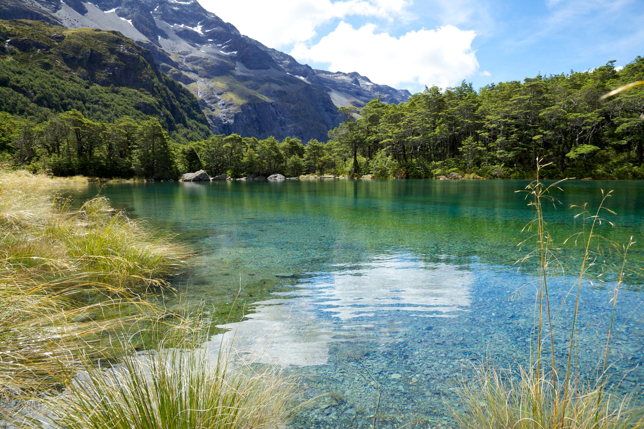 Blue Lake Mountains and Trees