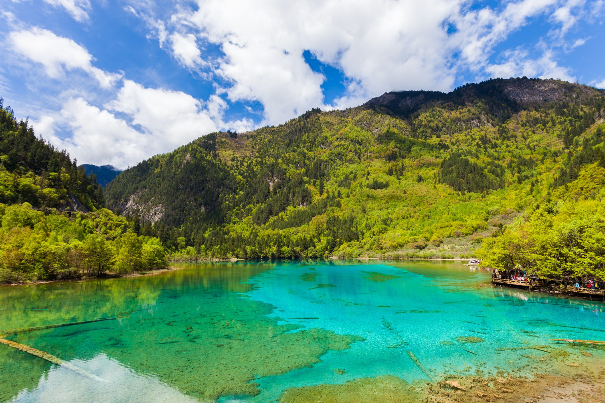 Five-Flowers Lake at Jiuzhaigou, Sichuan, China