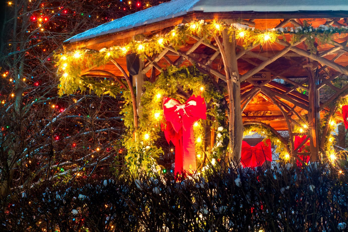 Christmas tree & gazebo