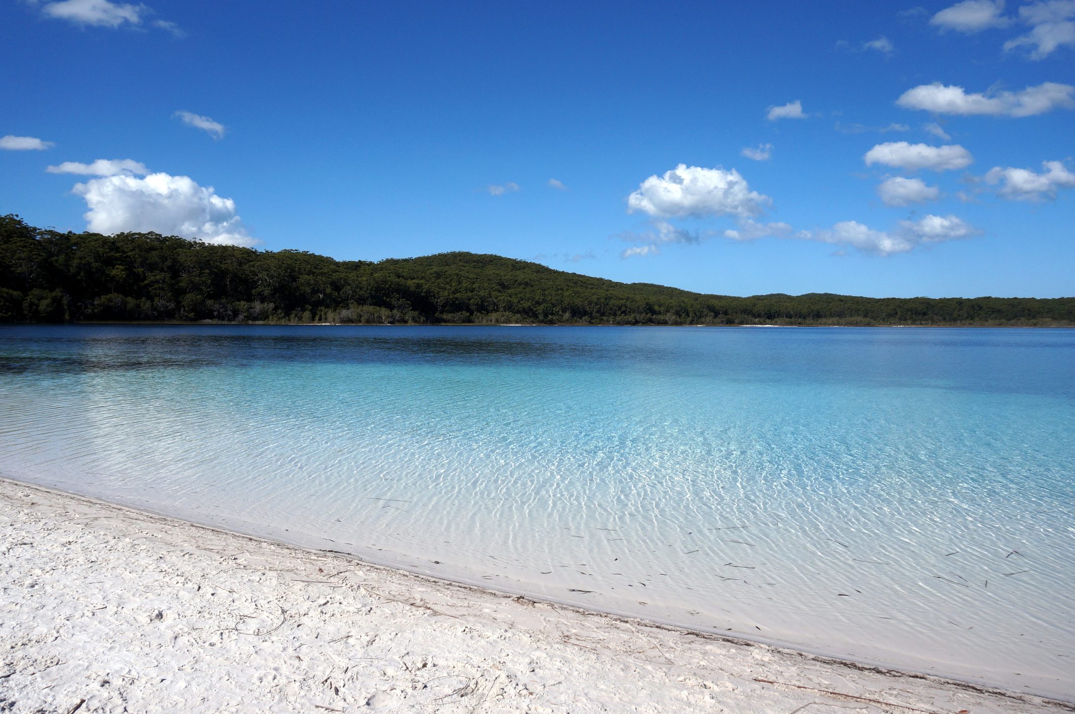 Lake McKenzie view