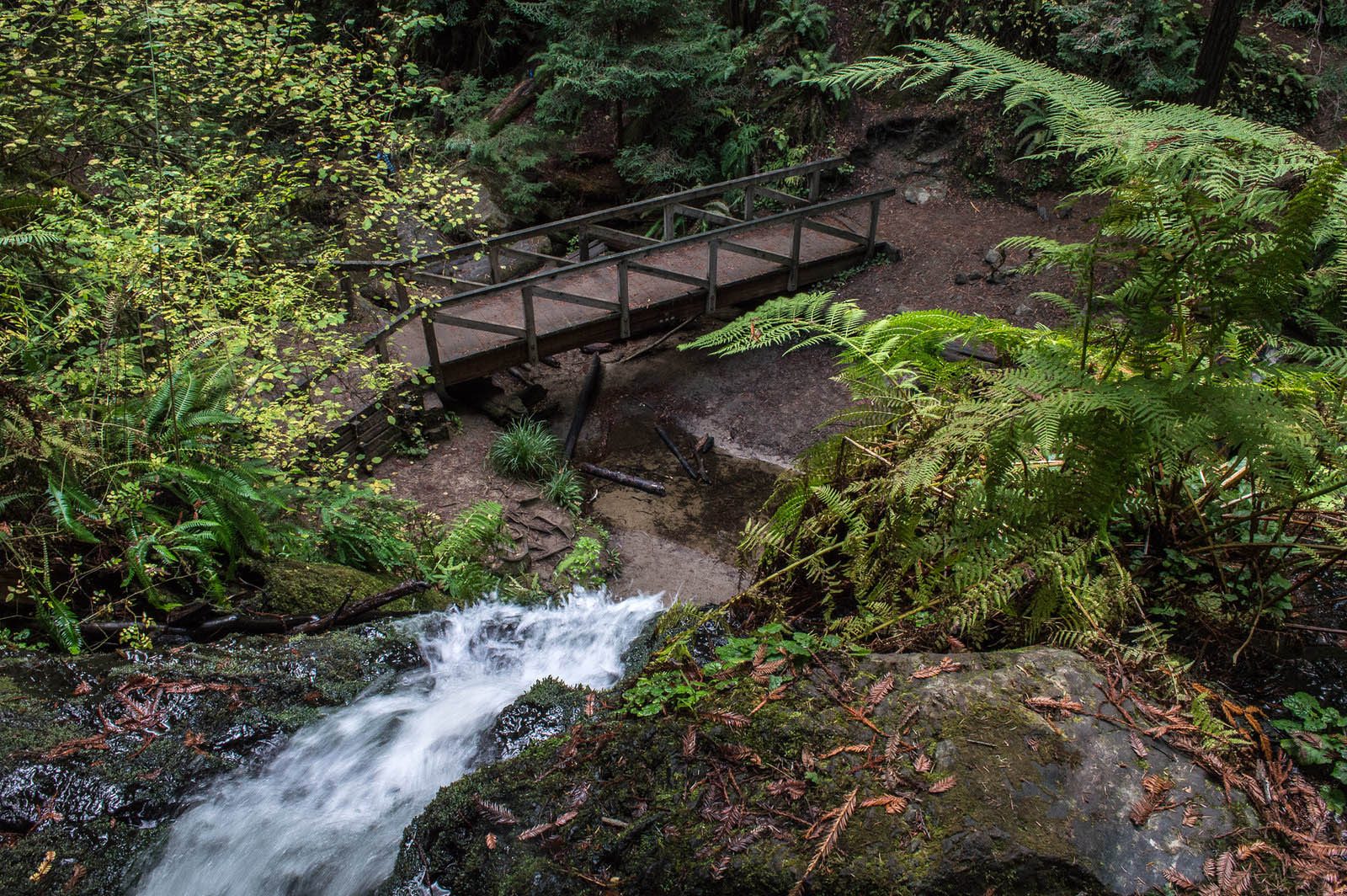 Russian Gulch State Park, Mendocino, California