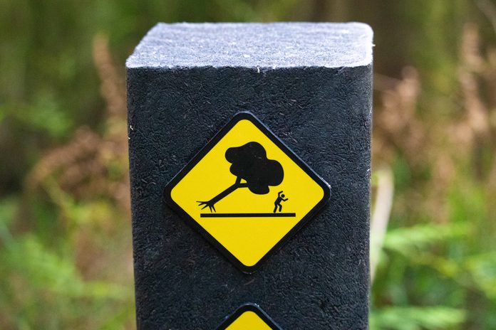 Funny Sign - Watch Out For Trees