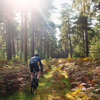 Cyclist on forest path