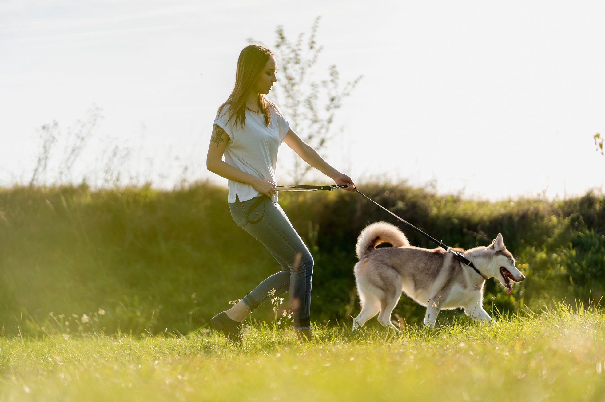 Young woman going walkies with her dog in nature