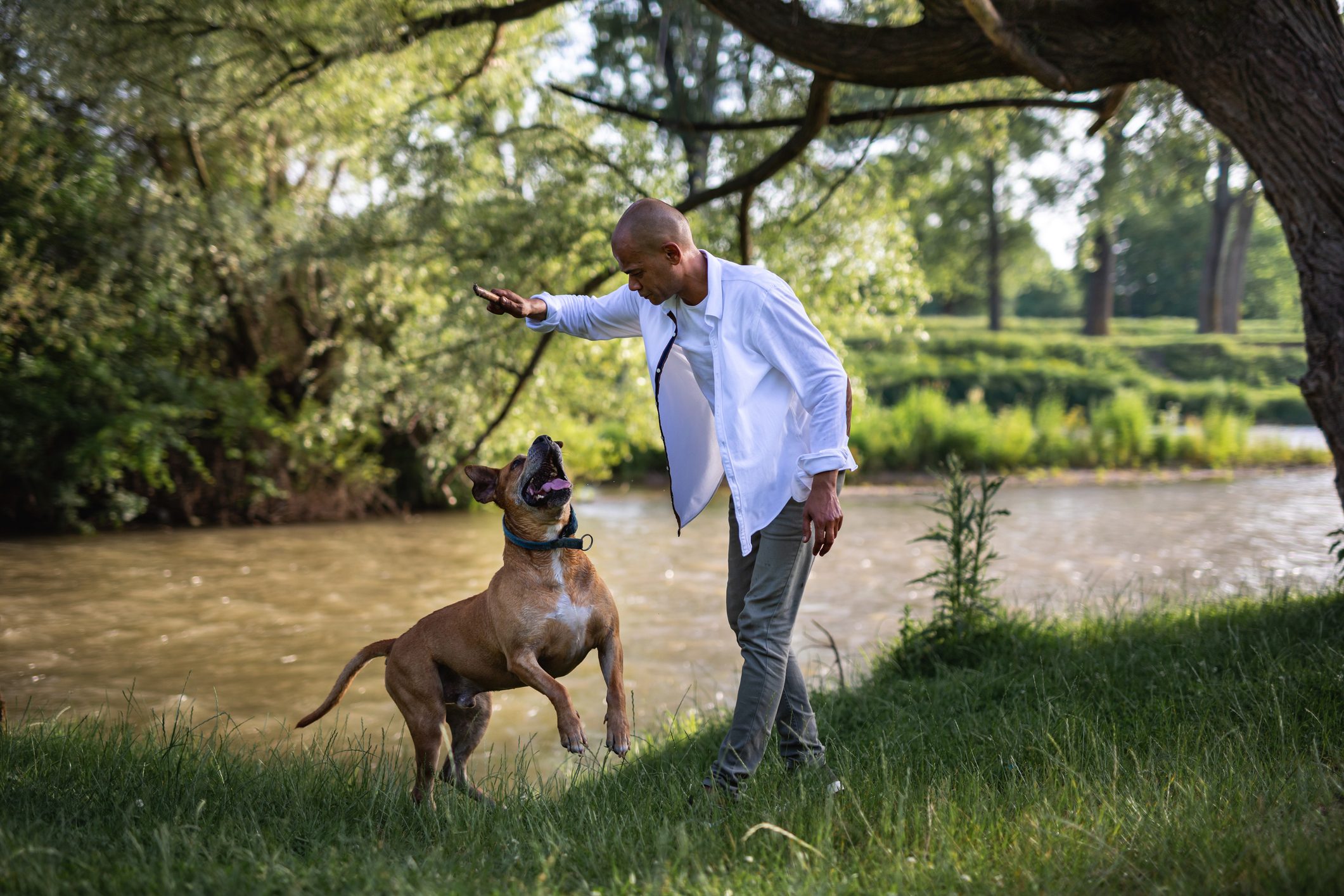 Man have fun with dog by the river