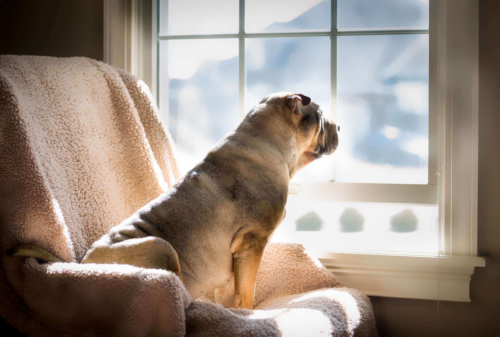 Looking out the Window