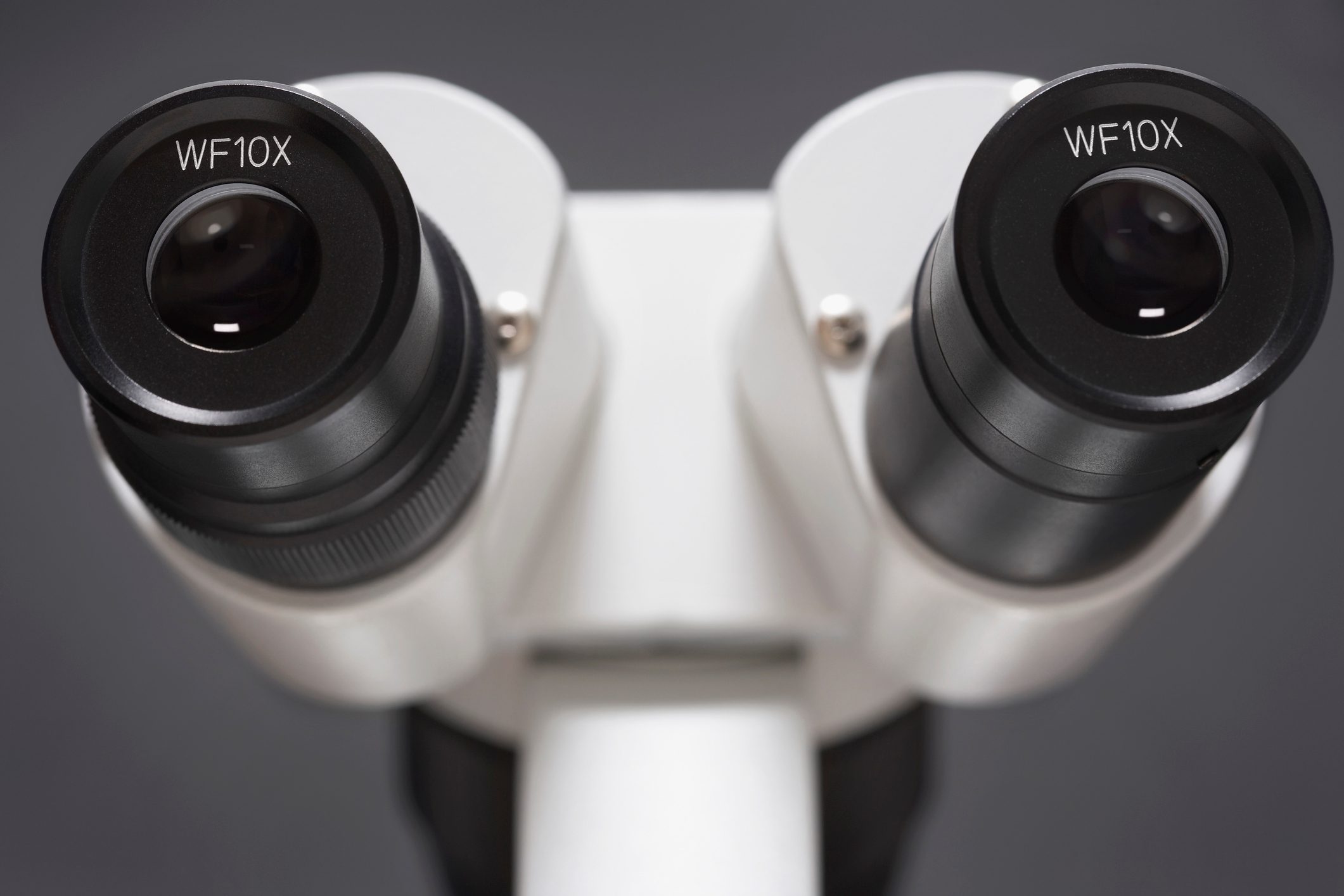 Microscope close-up
