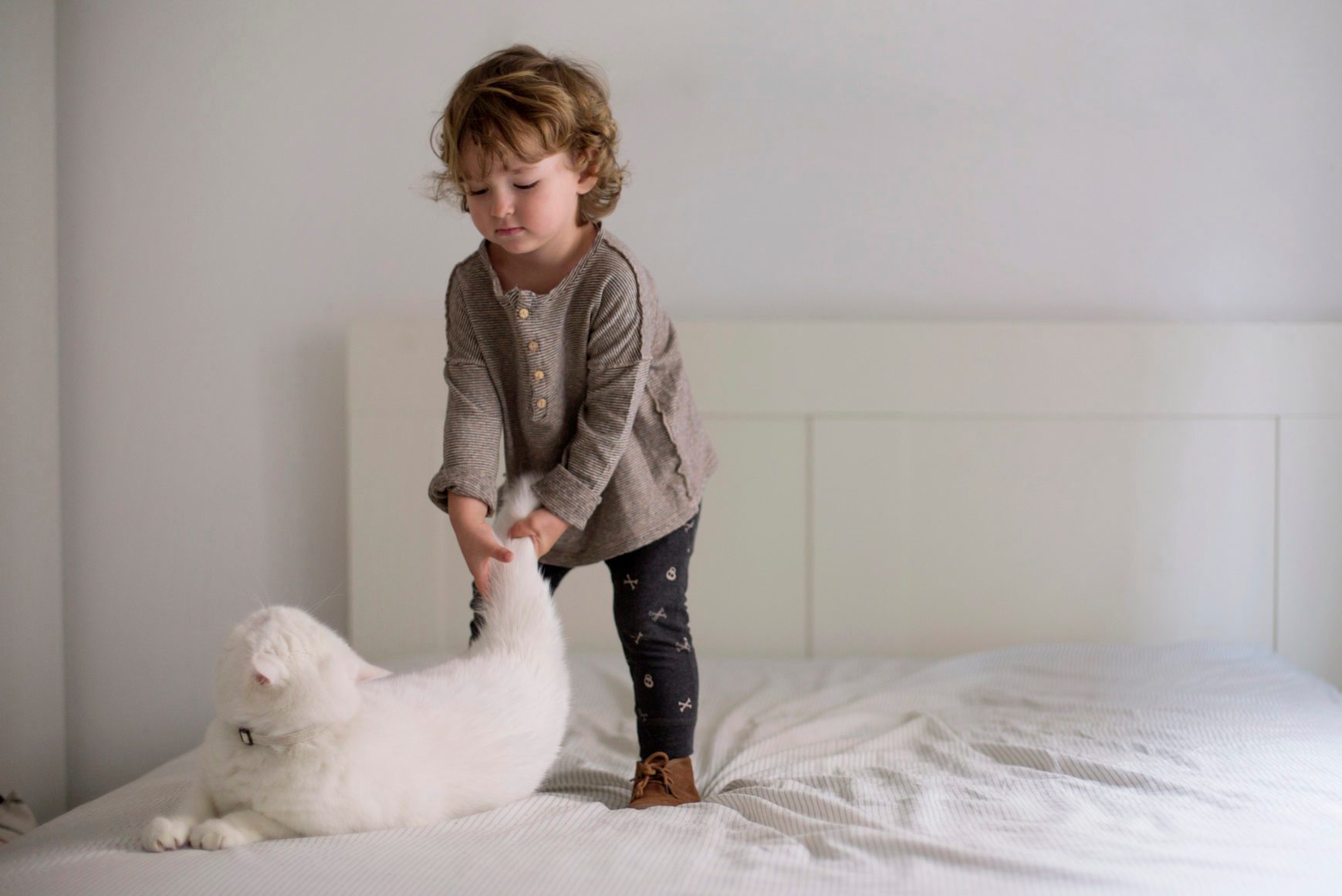 Toddler grabbing cat by its tail