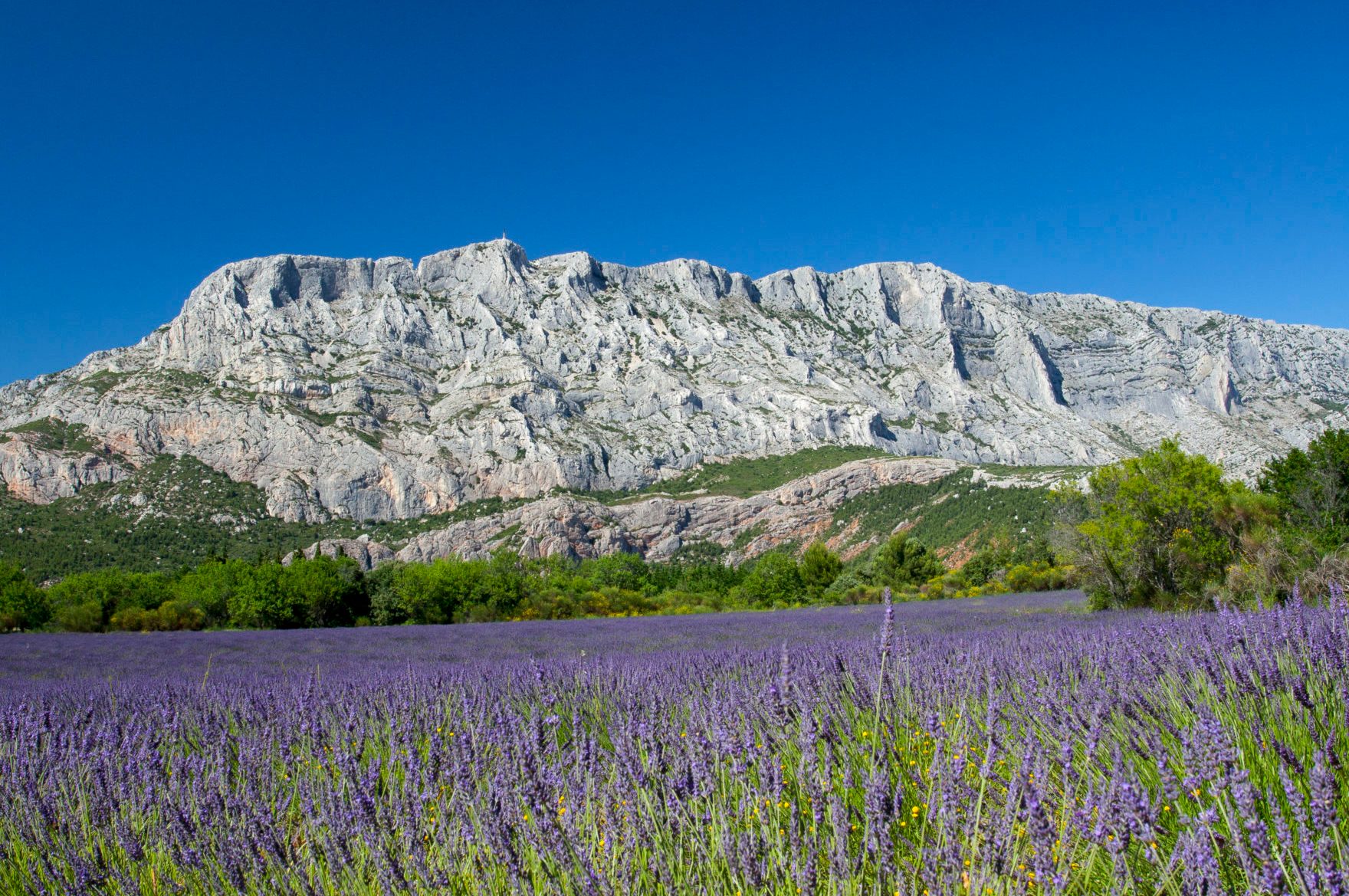 Mount Sainte Victoire