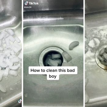 TikTok garbage disposal cleaning hack with ice