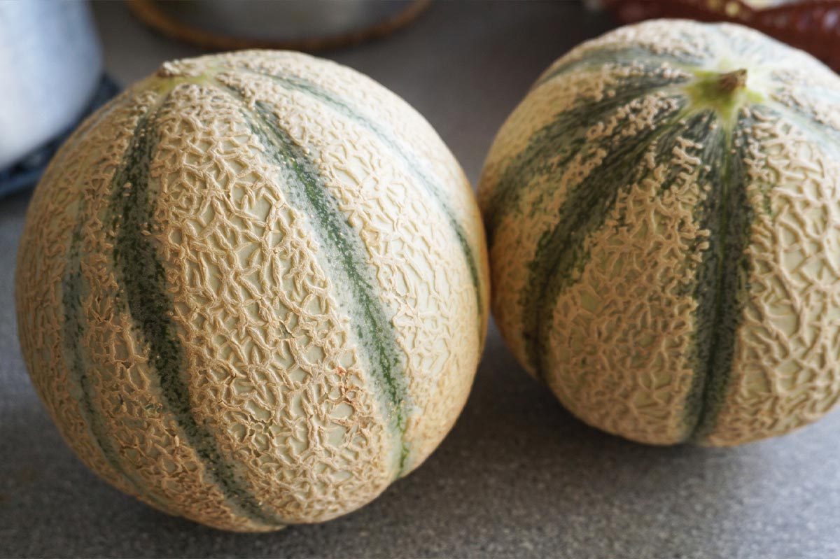 2 Cantaloupe Melons