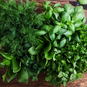 Fresh organic aromatic and culinary herbs