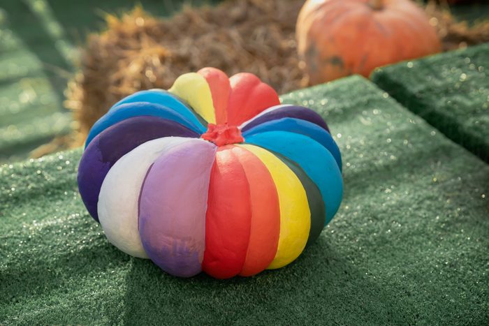 Natural pumpkin painted rainbow colors. Autumn holidays.