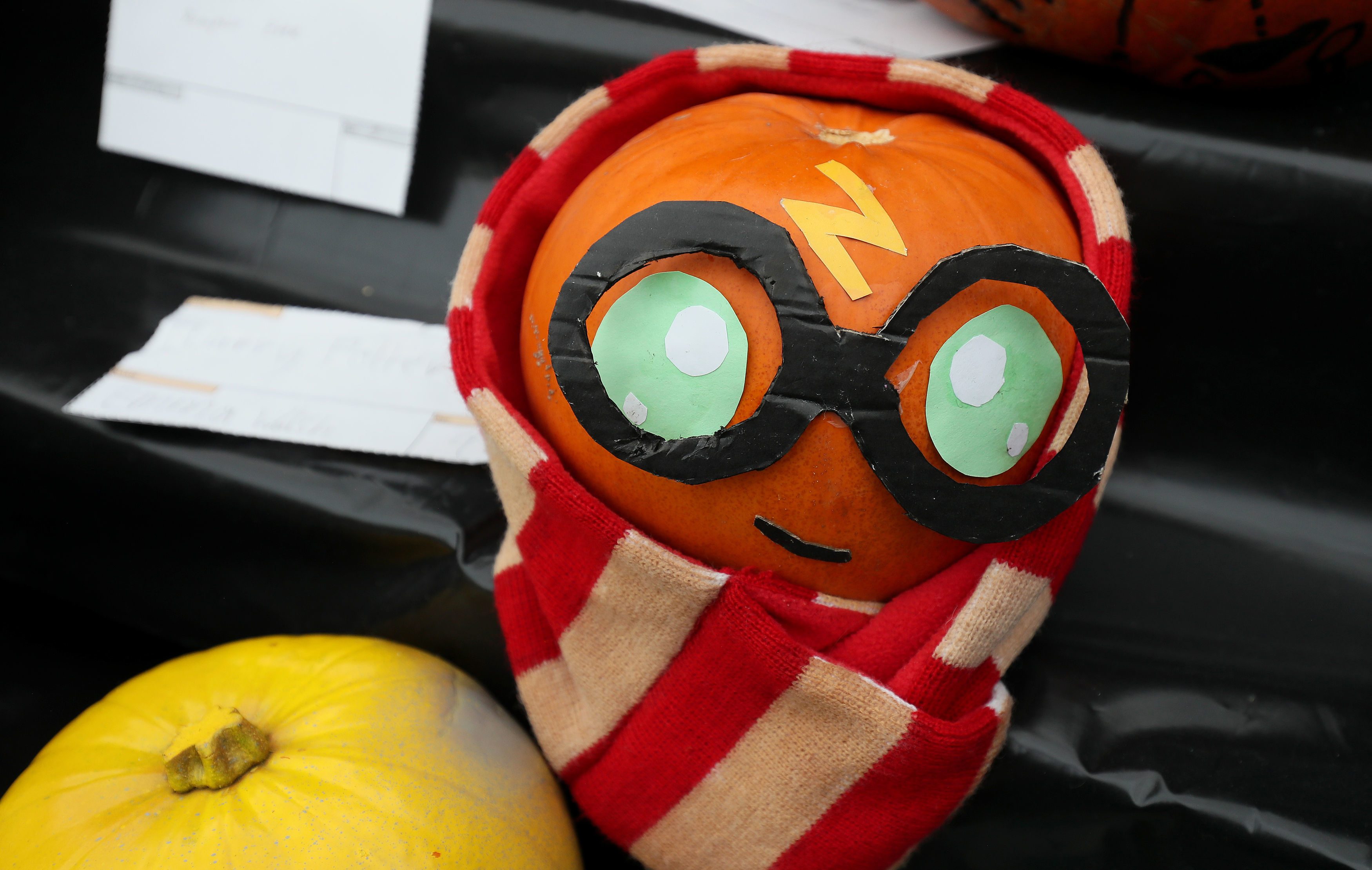 National Botanic gardens decorated pumpkin competition