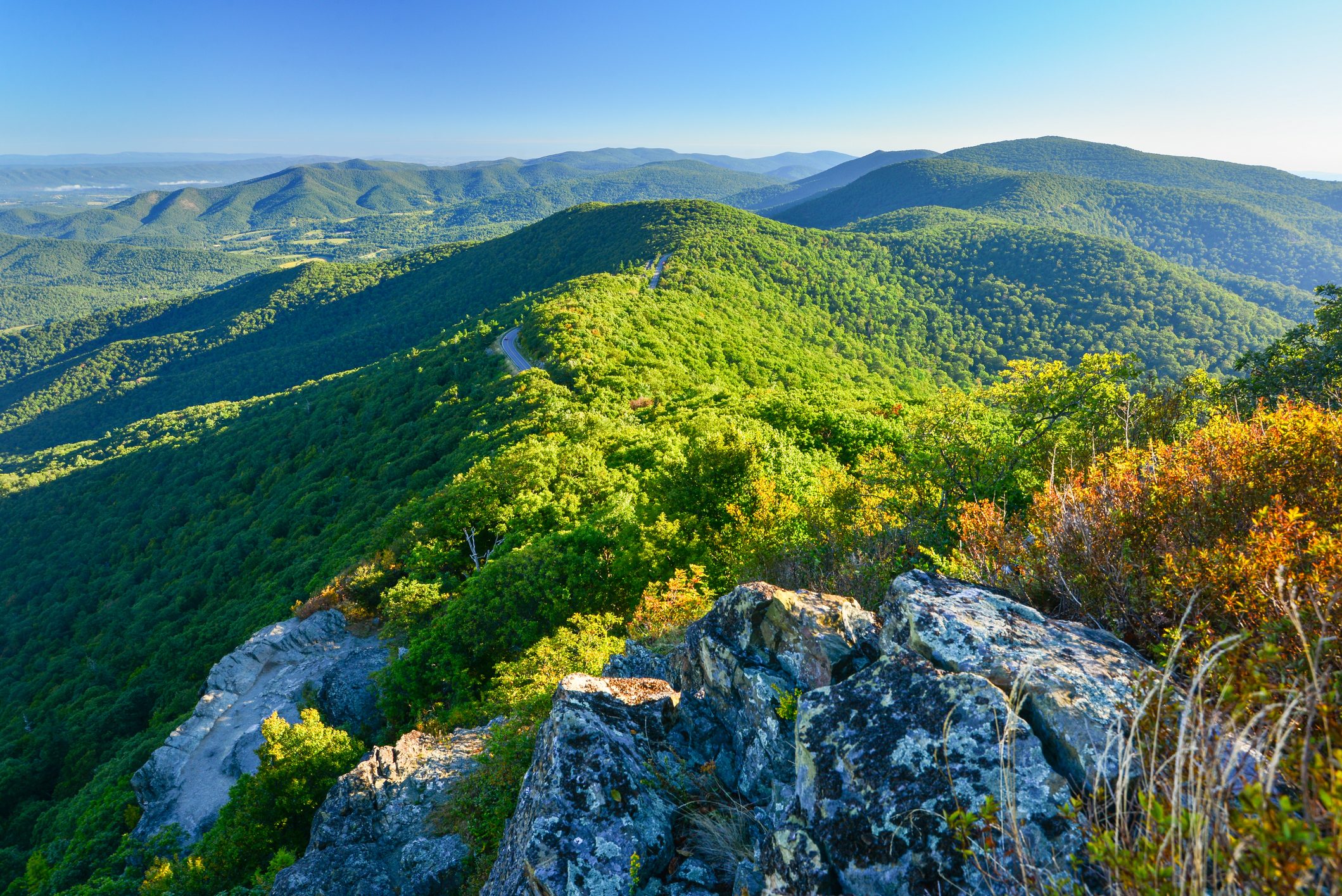 Forested hills rolling landscape