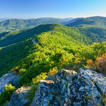 Forested hills rolling landscape