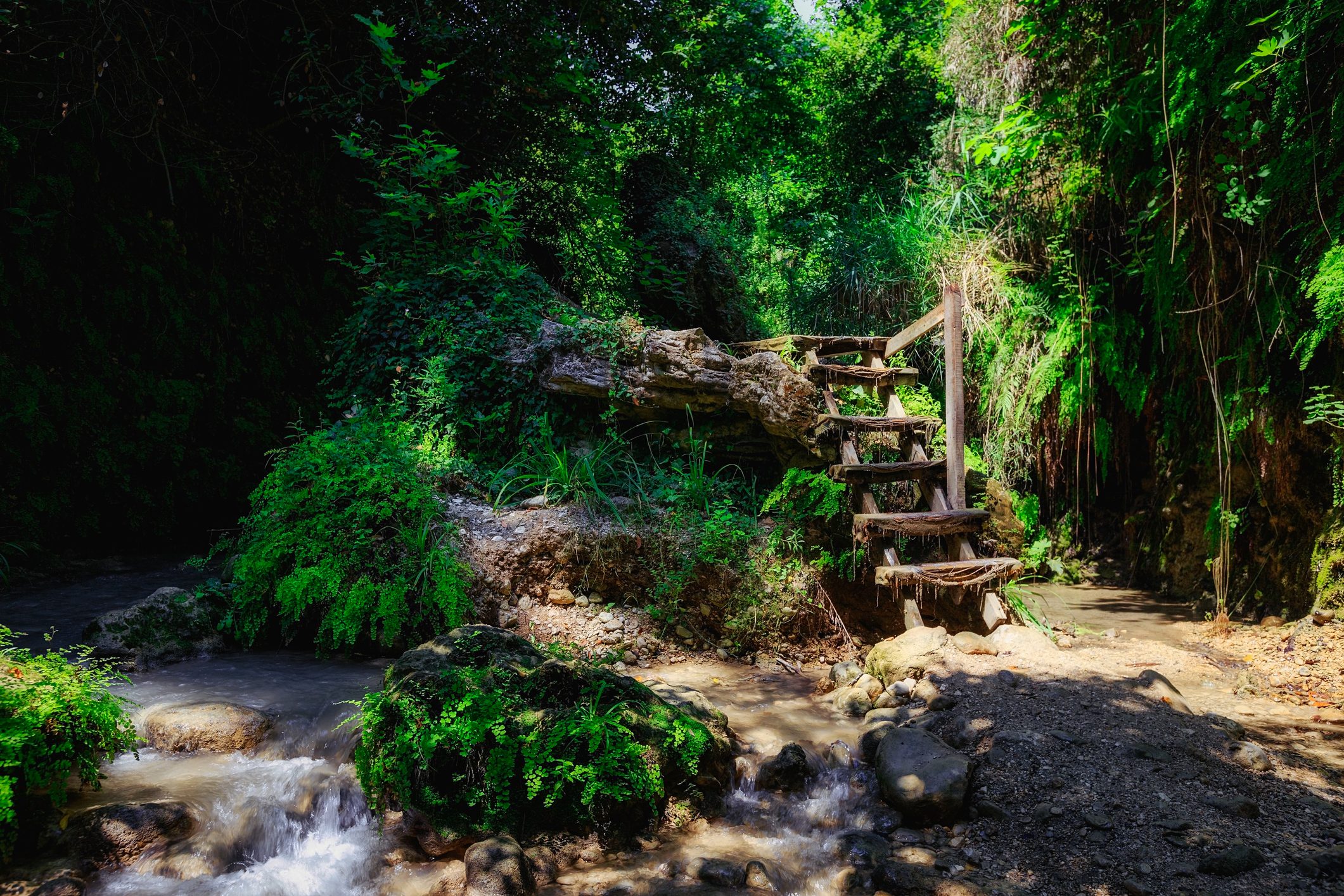 Fairytale forest landscape with wooden staircase