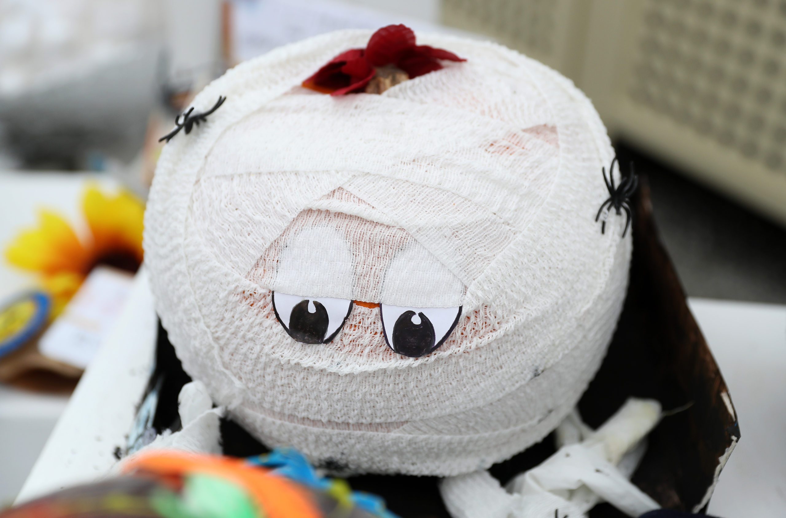 Mummy pumpkin