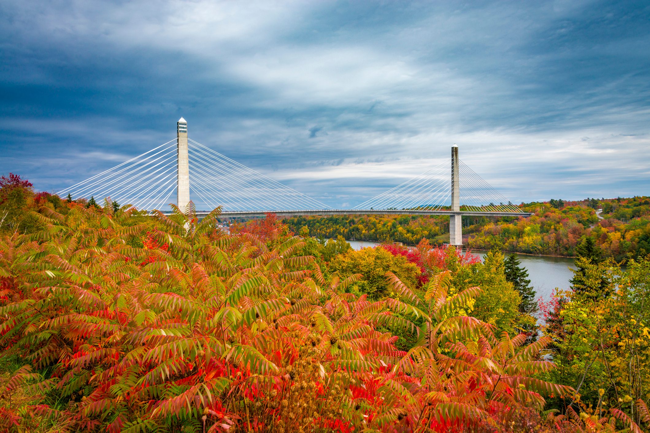 The Penobscot Narrows Bridge in autumn