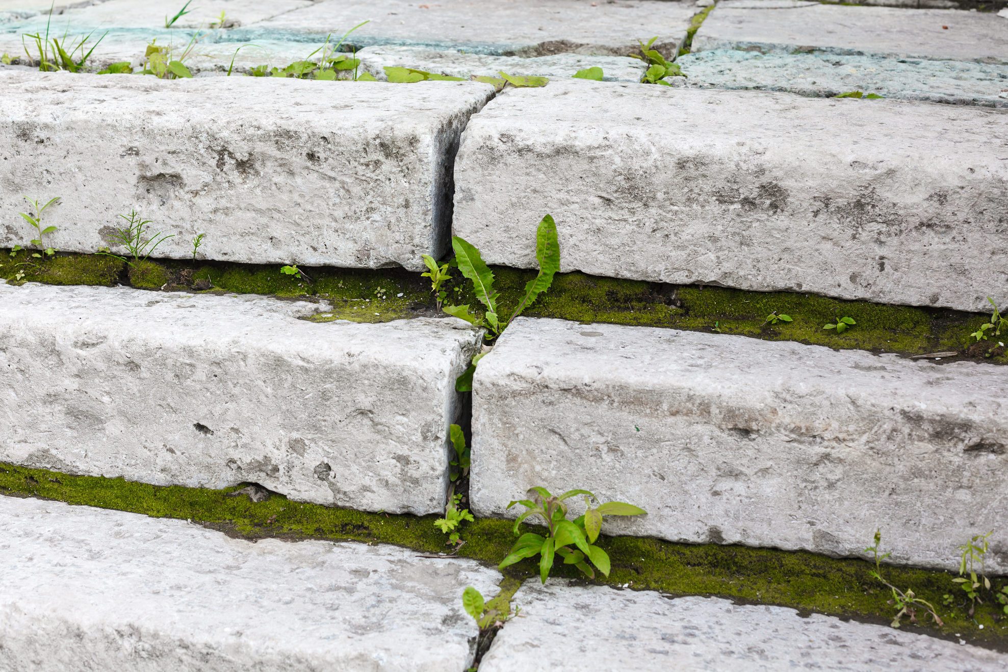 Antique white stone stair with green moss between steps closeup