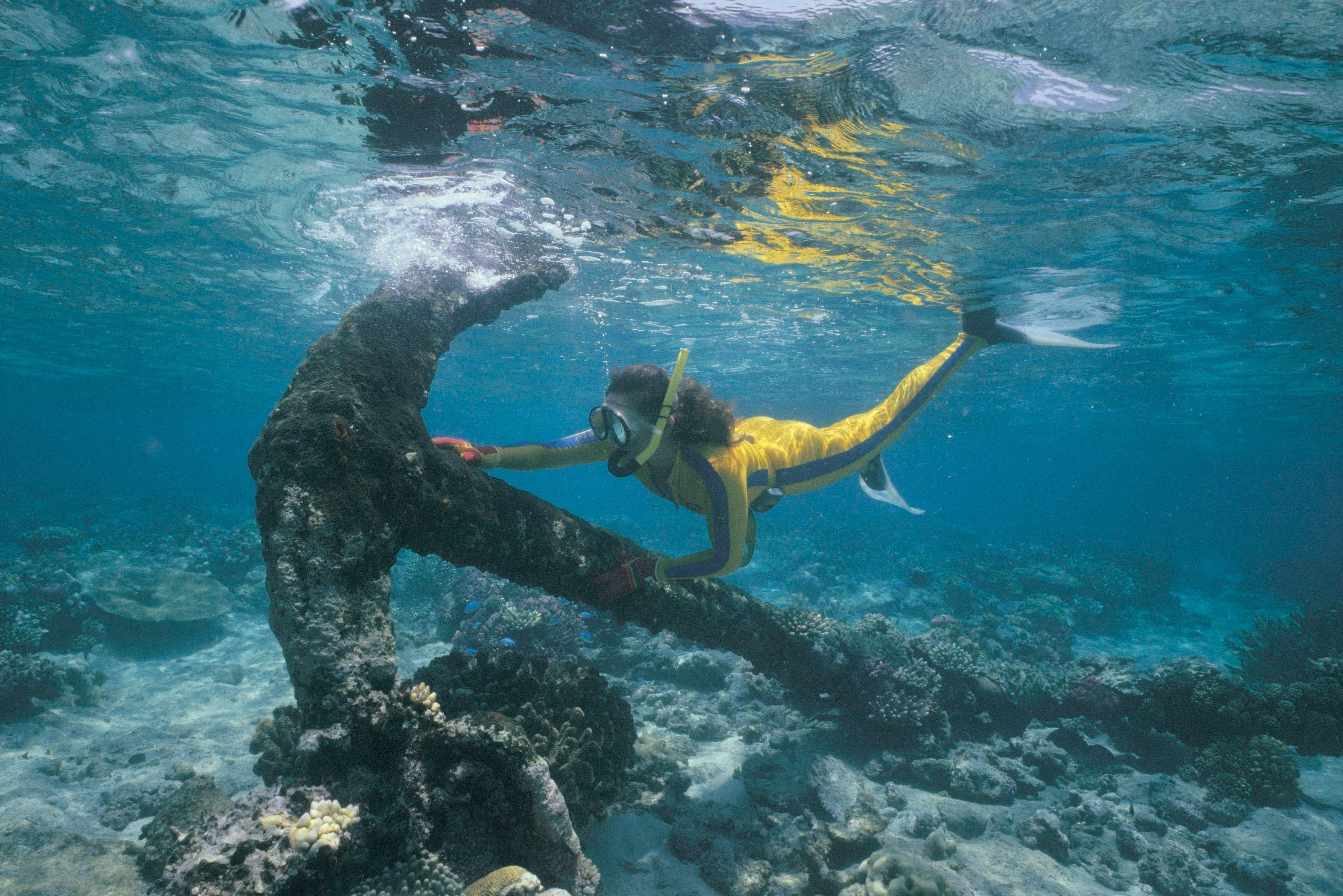 Scuba diver examining anchor