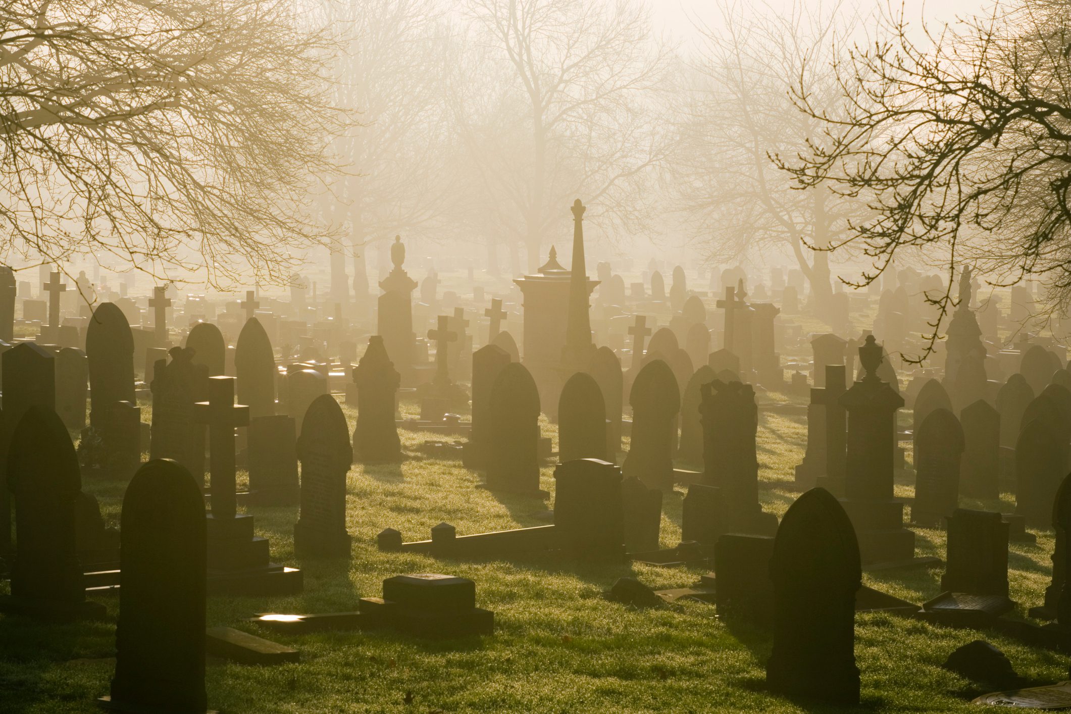 Misty Cemetery