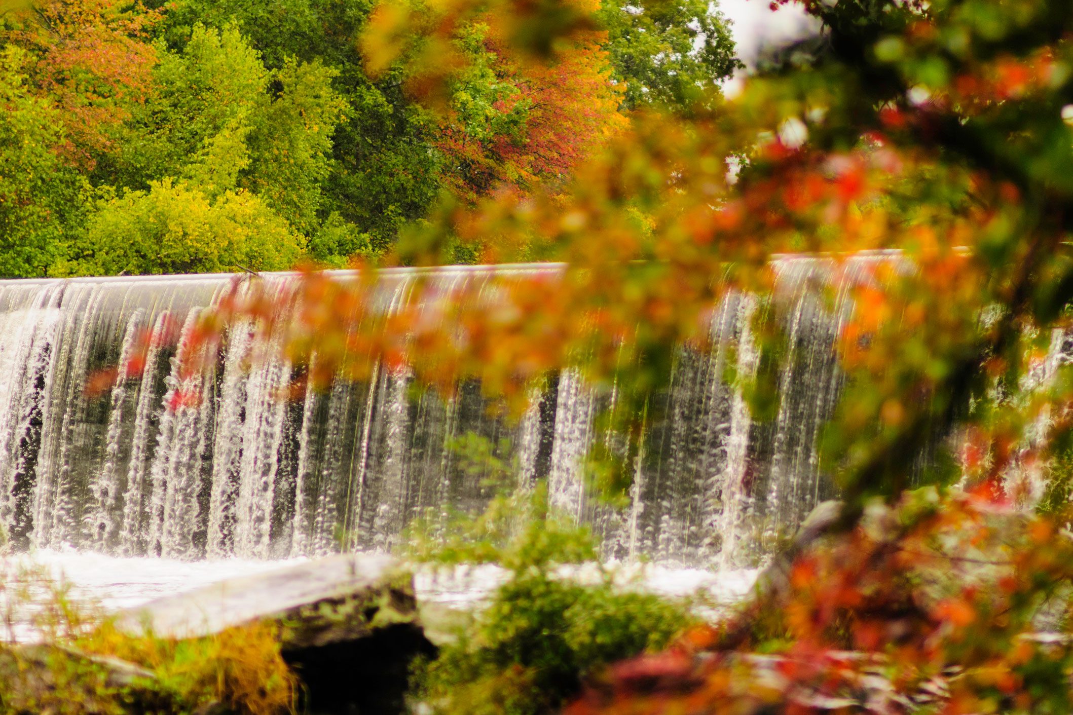 Blackstone Gorge waterfall from path alongside river