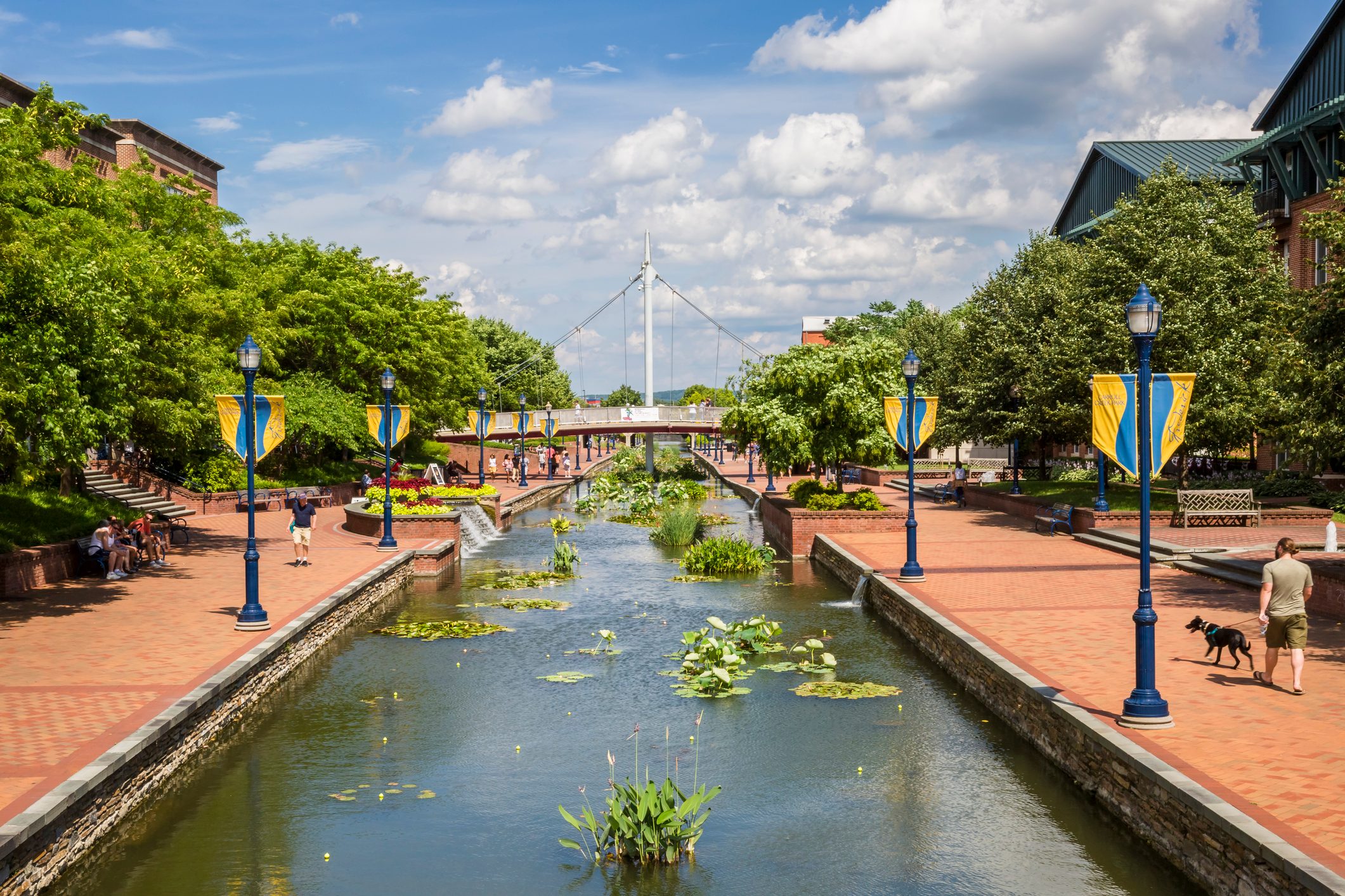 Frederick Maryland -- Linear Creek, People Walking and Sitting, Water Plants In Full Bloom