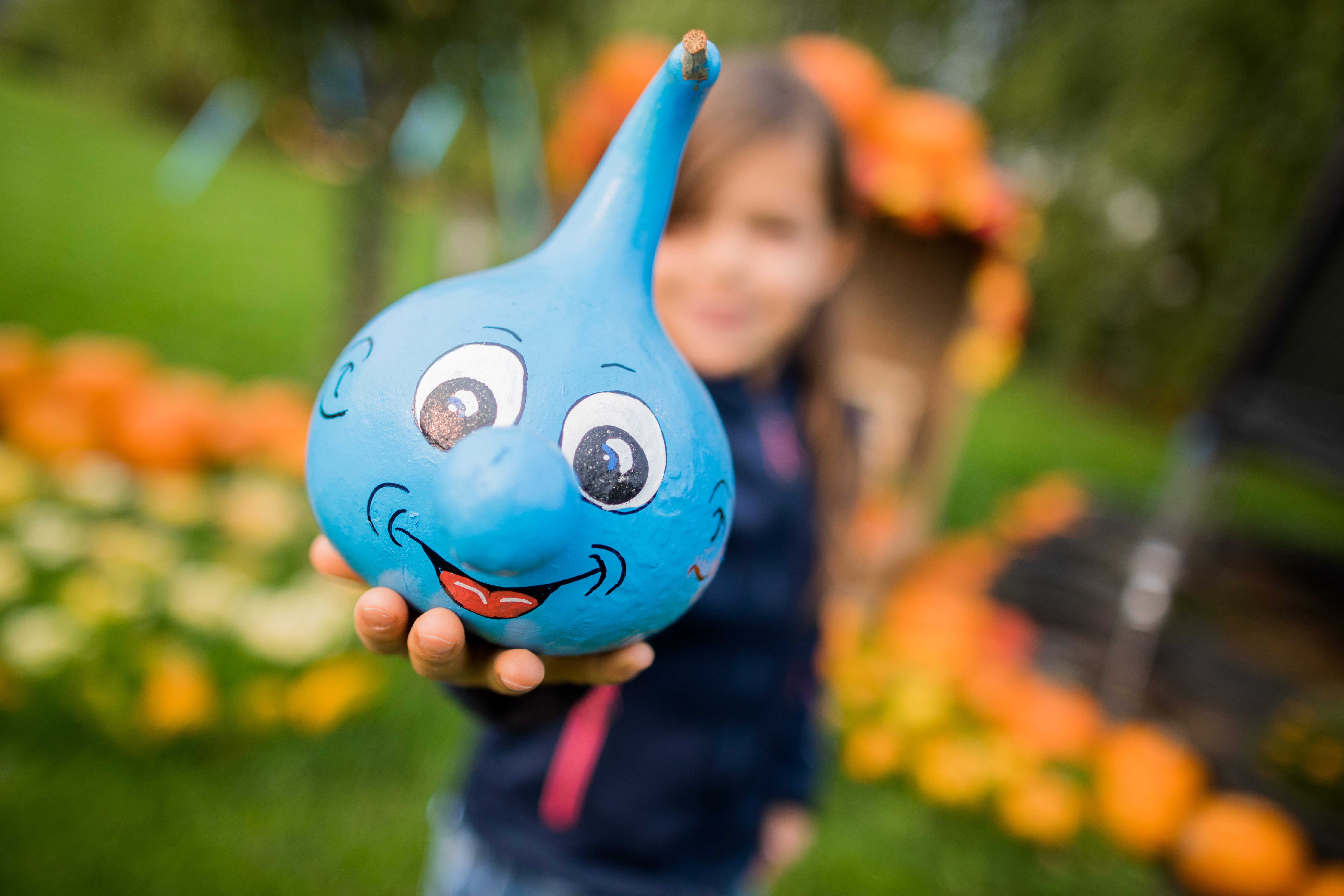 Pumpkin production in Hurth