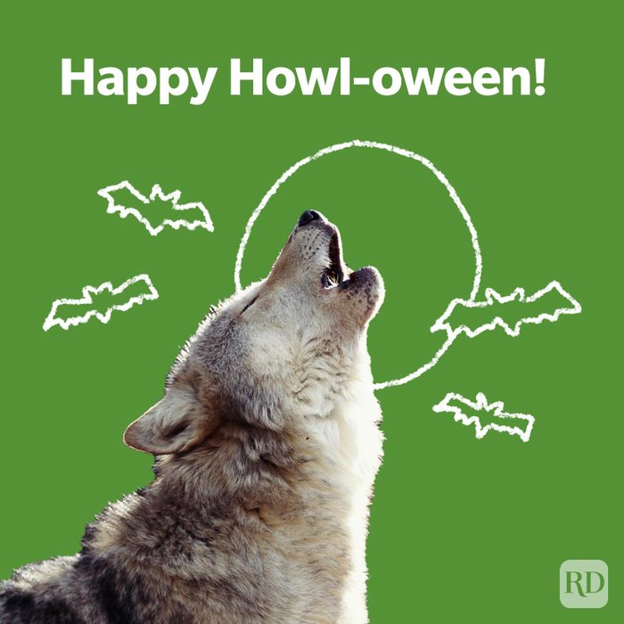 Halloween Puns 7 Monster Gettyimages Ab33940