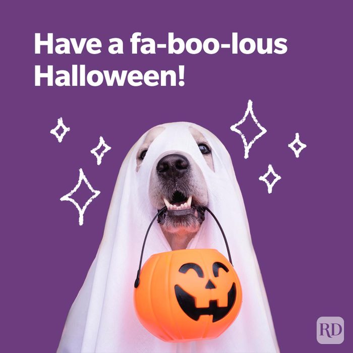 Halloween Puns Ft Gettyimages 1426156694