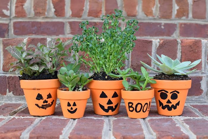Jack O Lantern Flower Pots