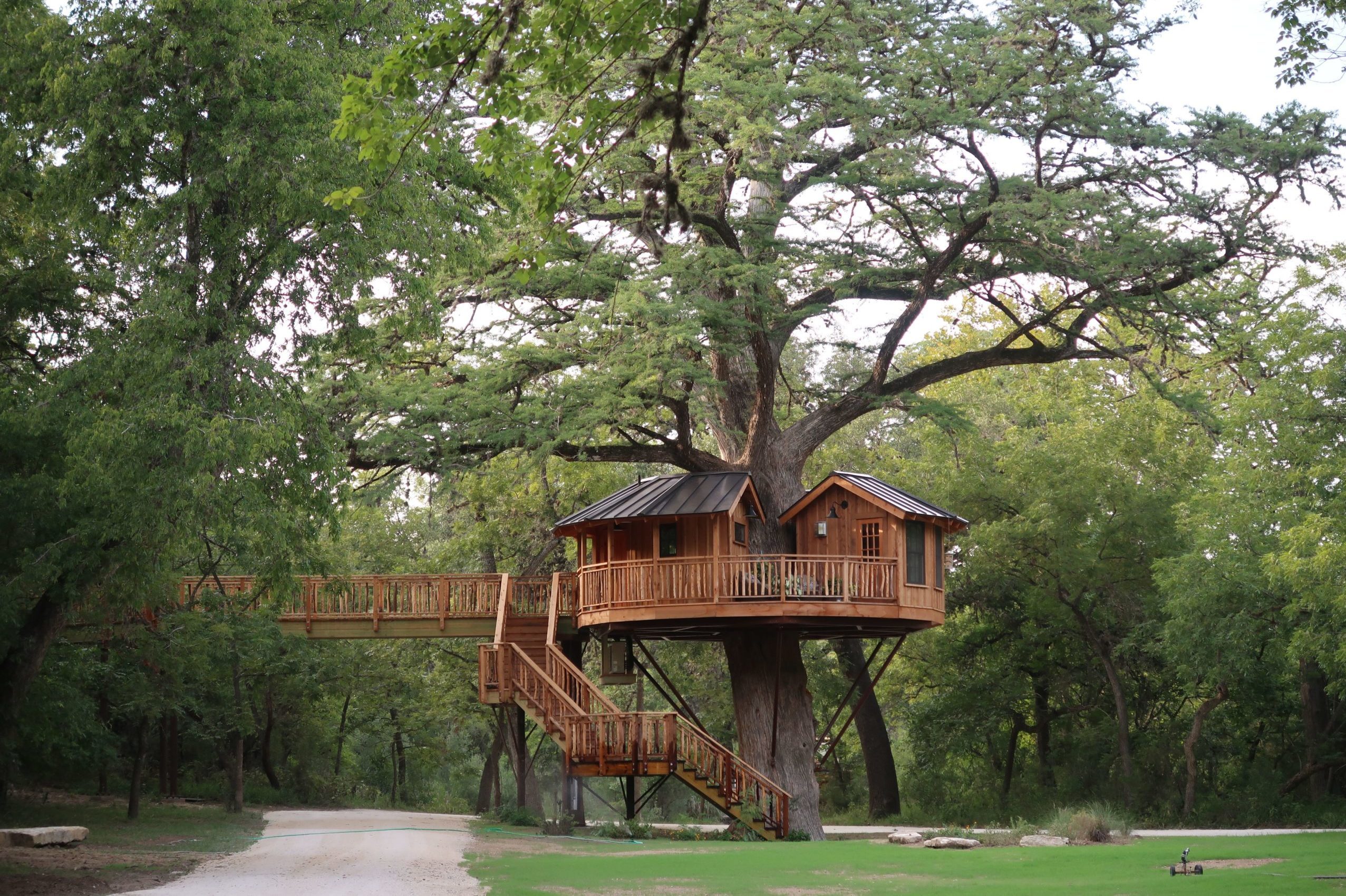 Treehouse Utopia